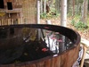 森の中の露天風呂「美想の湯」の周りは秋たけなわです。’11-10-23